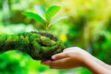 Licenciamento Ambiental